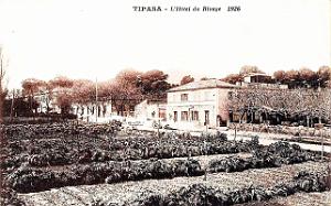 Tipaza - Hotel du Rivage - 1926